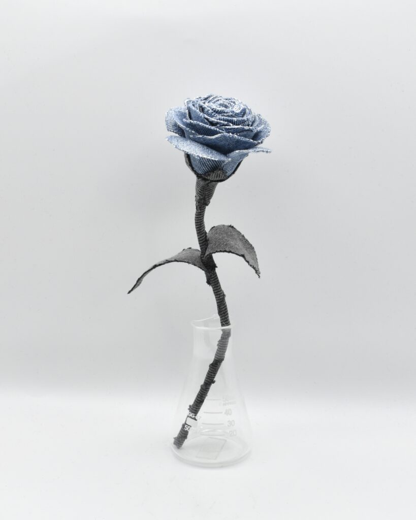デニムローズ Blue Ash Fragment Rose Quiet Collection