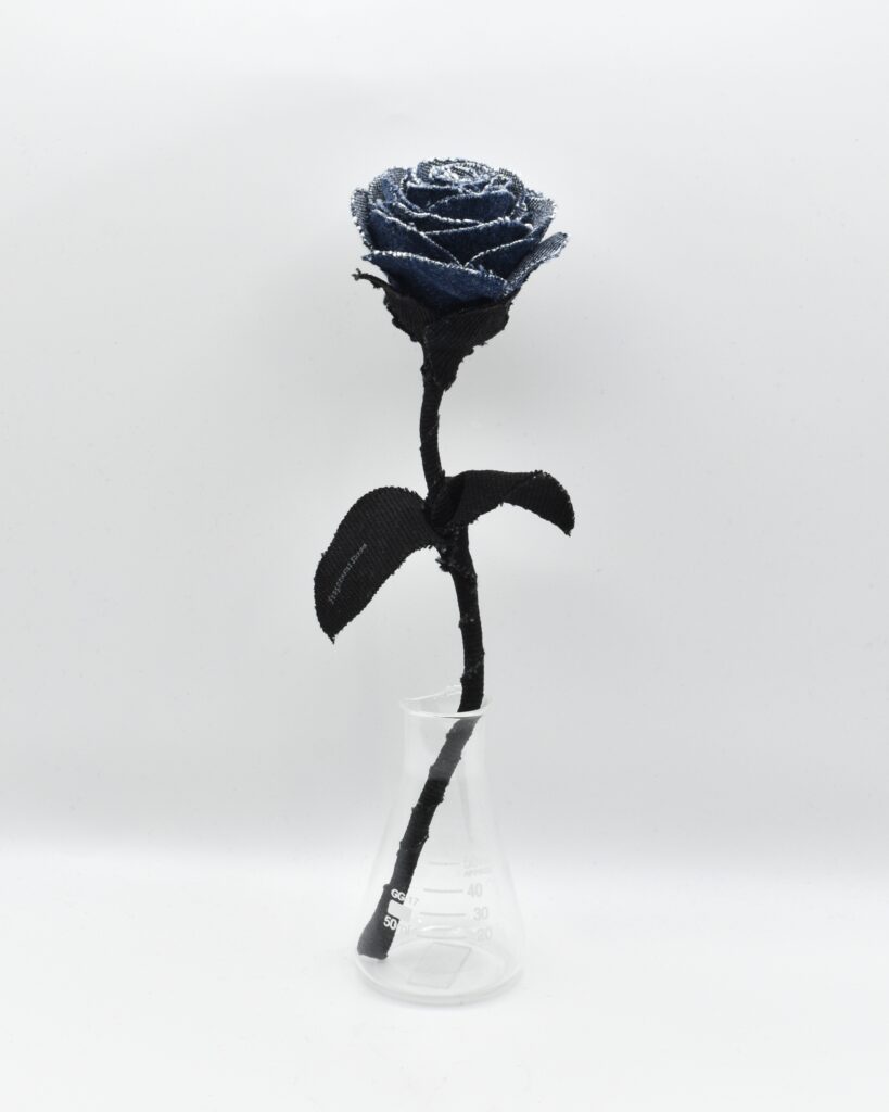 デニムローズ Blue Nocturne Fragment Rose Quiet Collection