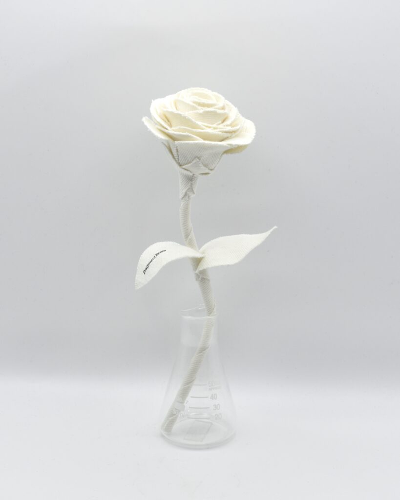 デニムローズ Ecru Blanc Fragment Rose Quiet Collection