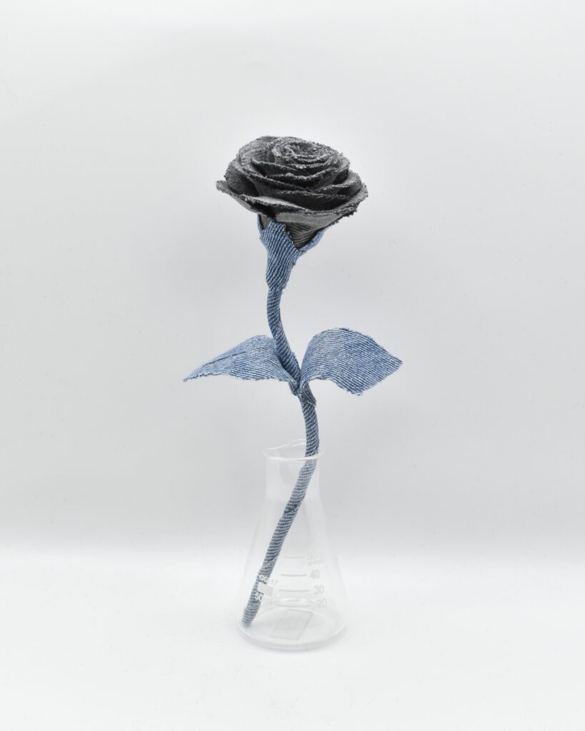 デニムローズ Midnight Lake Fragment Rose Quiet Collection