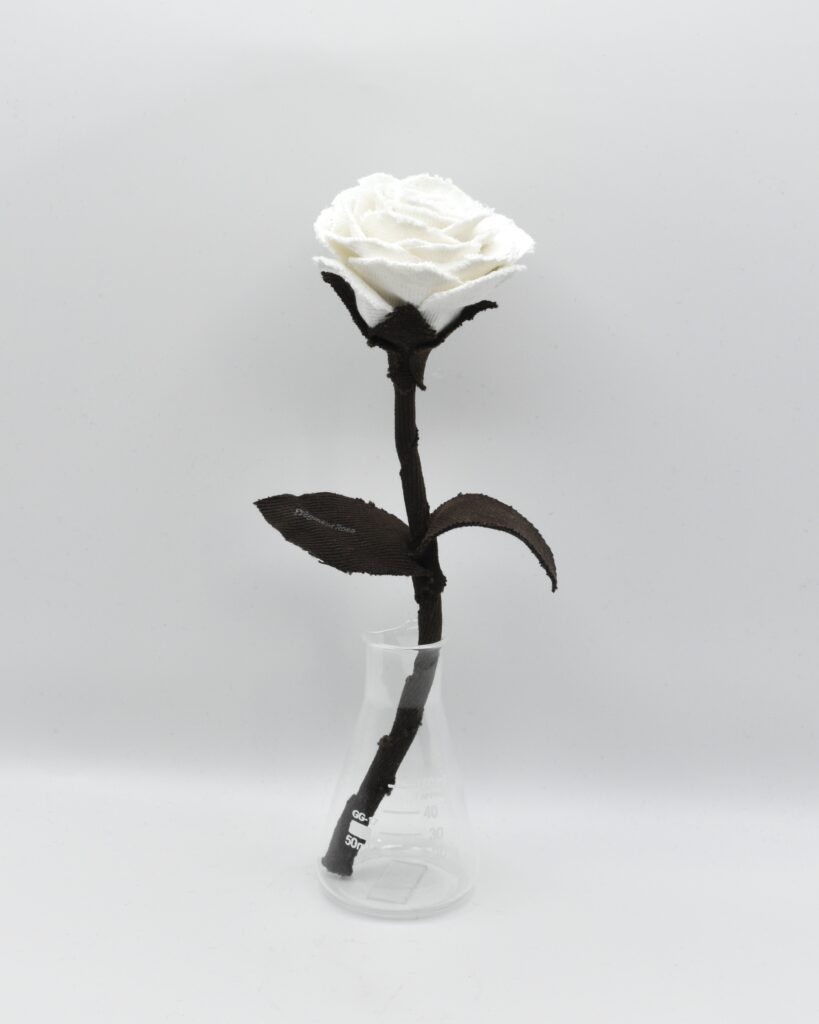 デニムローズ Moon Shadow Fragment Rose Quiet Collection