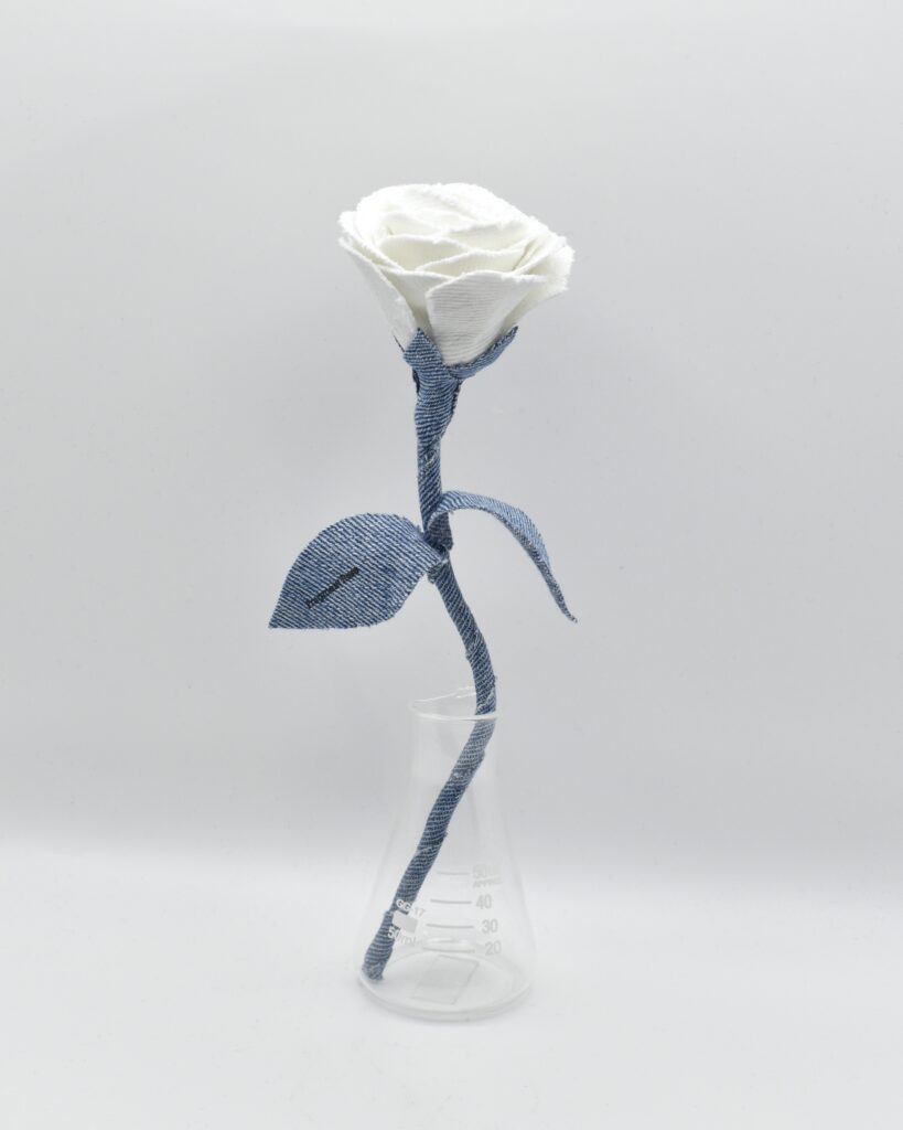 デニムローズ White Breeze Fragment Rose Quiet Collection