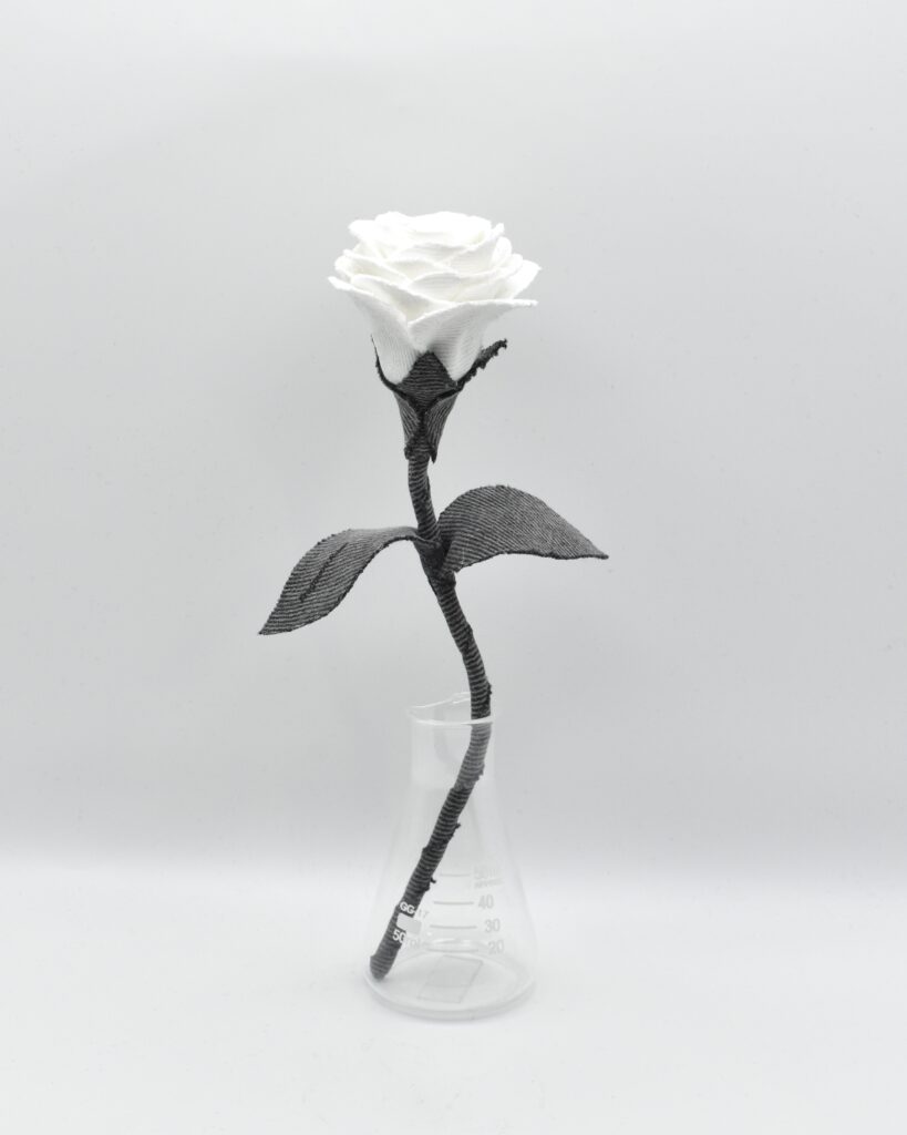 デニムローズ White Shadow Fragment Rose Quiet Collection