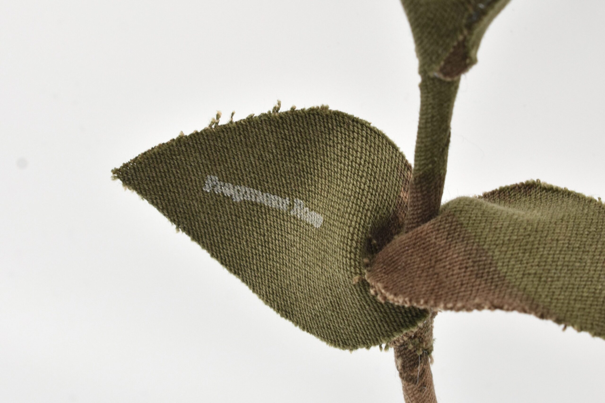 Fragment Rose For Business ブランドコラボレーション