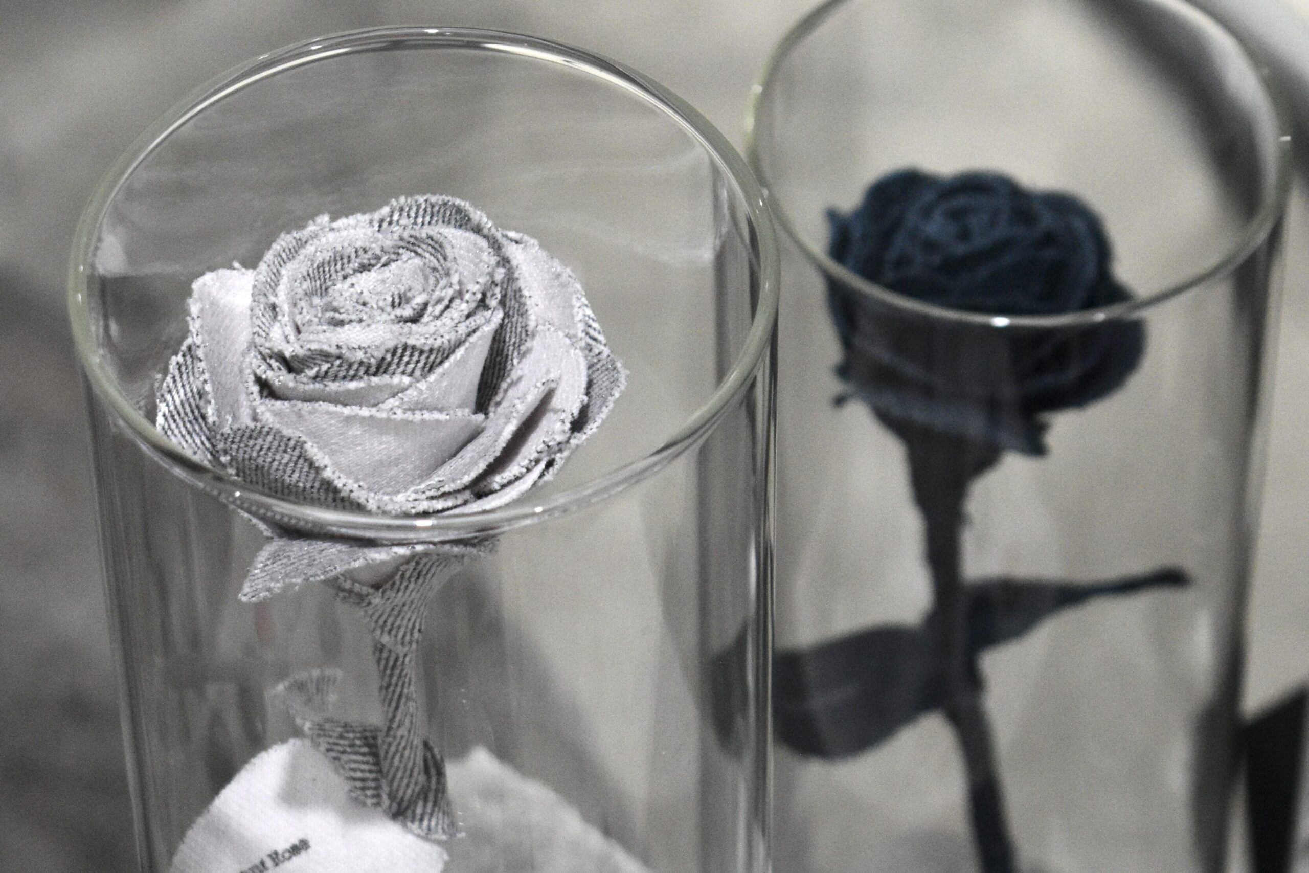 Fragment Rose For Business ご提案 お見積り